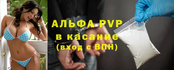 СК Аркадак