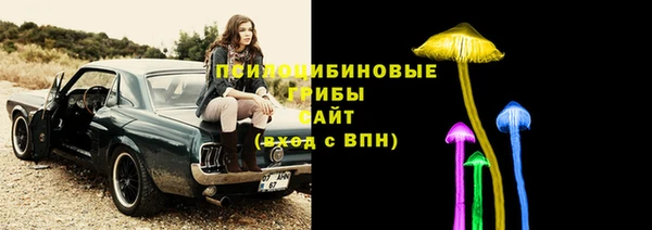 тгк Алексин
