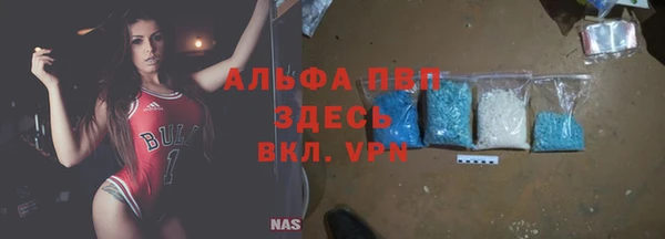 СК Аркадак