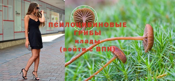 хмурый Армянск