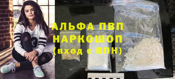 гашик Арсеньев
