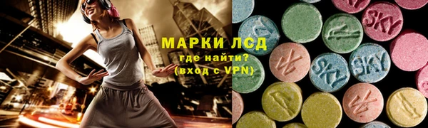 гашик Арсеньев