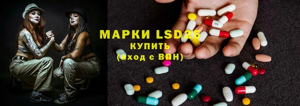 гашик Арсеньев