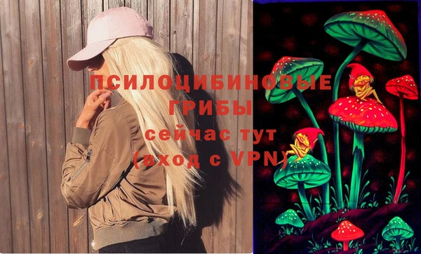 гашик Арсеньев
